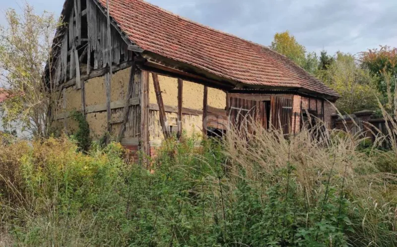 Dom na  sprzedaż Krzepielów - Krzepielów, dom z działką 71 ar, sprzedam, cena 260 000 zł